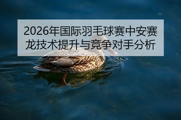nian-guo-ji-yu-mao-qiu-sai-zhong-an-sai-long-ji-shu-ti-sheng-yu-jing-zheng-dui-shou-fen-xi-2-385.jpg