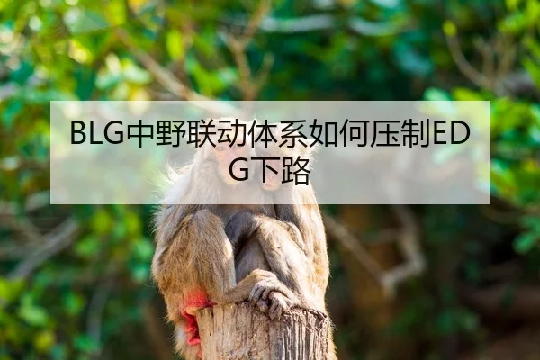 BLG中野联动体系如何压制EDG下路